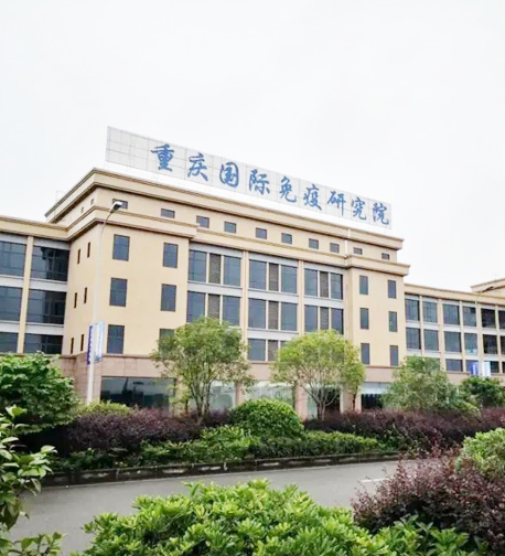重庆巴南新区