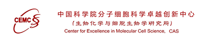 中国科学院 生物化学与细胞生物学研究所