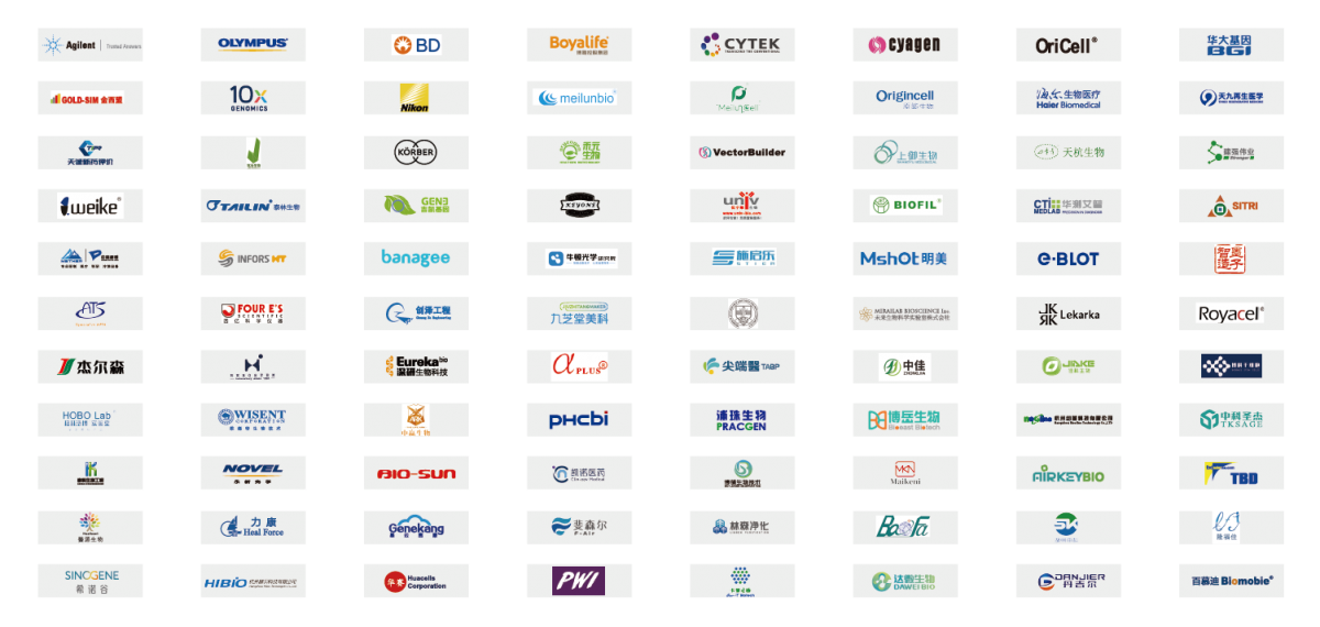 图片6
